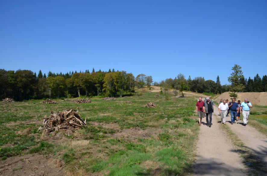 Exploitation de bois à proximité du site archéologique de Bibracte. Crédits : J.Champres, Cerema